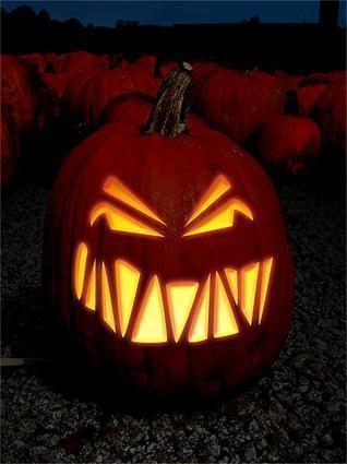 Vote for Toothie